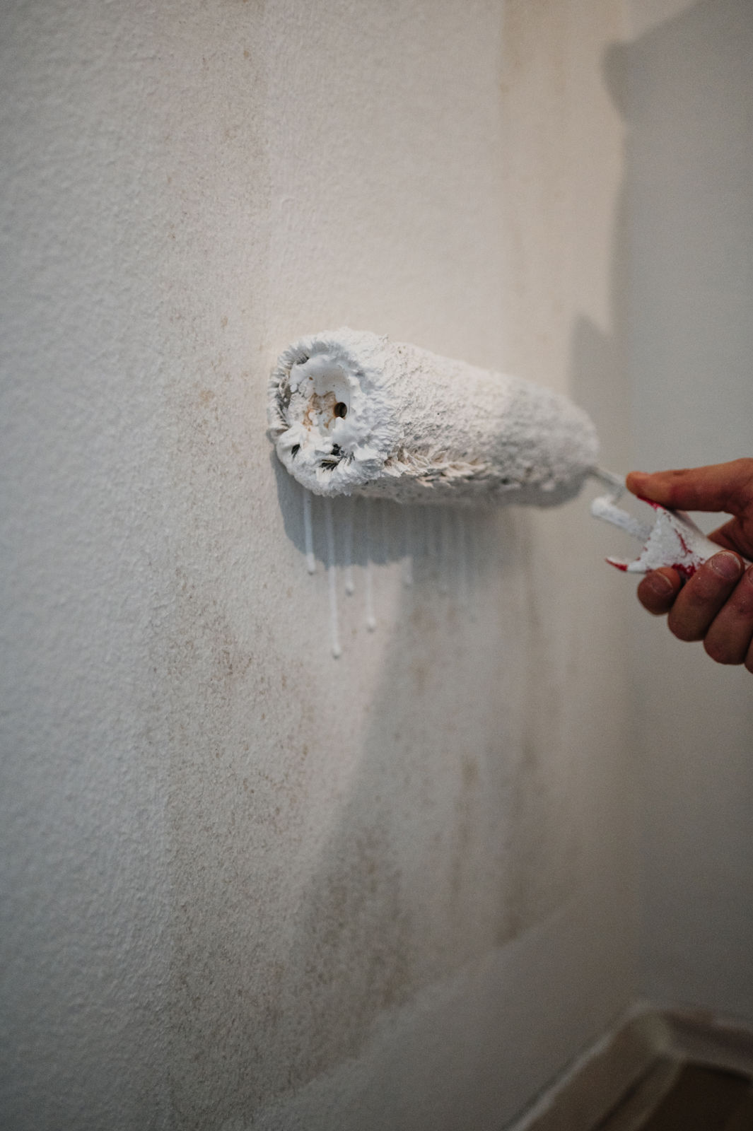 Schadensanierung durch Malermeister in Klagenfurt im Innenbereich